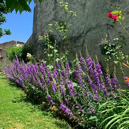 Bed & Breakfast The Cool Lounge A Coulonges - Charente 3*