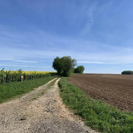 Bed & Breakfast The Cool Lounge A Coulonges - Charente 3*